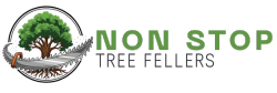 Non Stop Tree Felling Logo